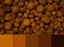nueces-almendras-giveevig-img